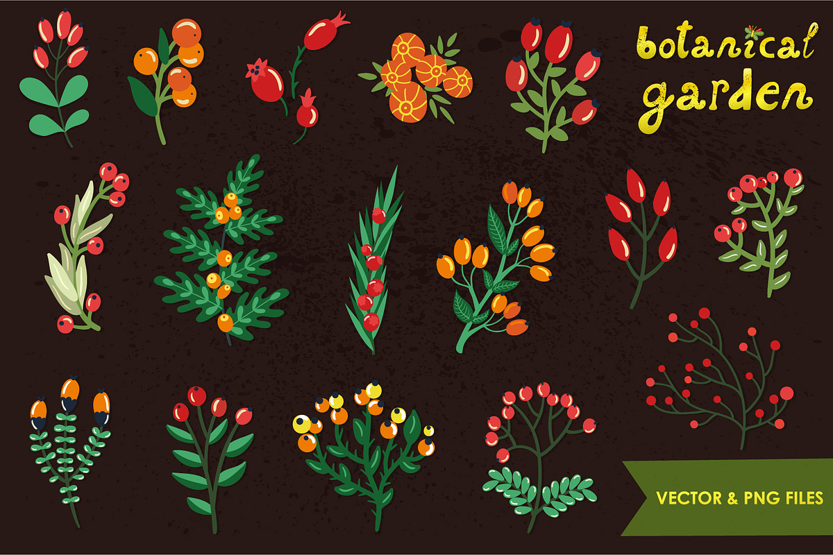 Botanical garden (vector, png), an Illustration by MagicForestory (Photo 2 of 5)