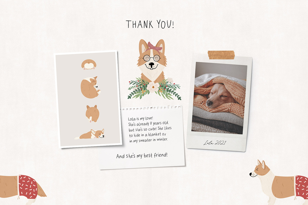 DOG Breeds collection, an Animal Illustration by Alisovna (Photo 13 of 14)