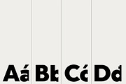 ZT Mostion, a Sans Serif Font by zelow type (Thumbnail 3 of 16)