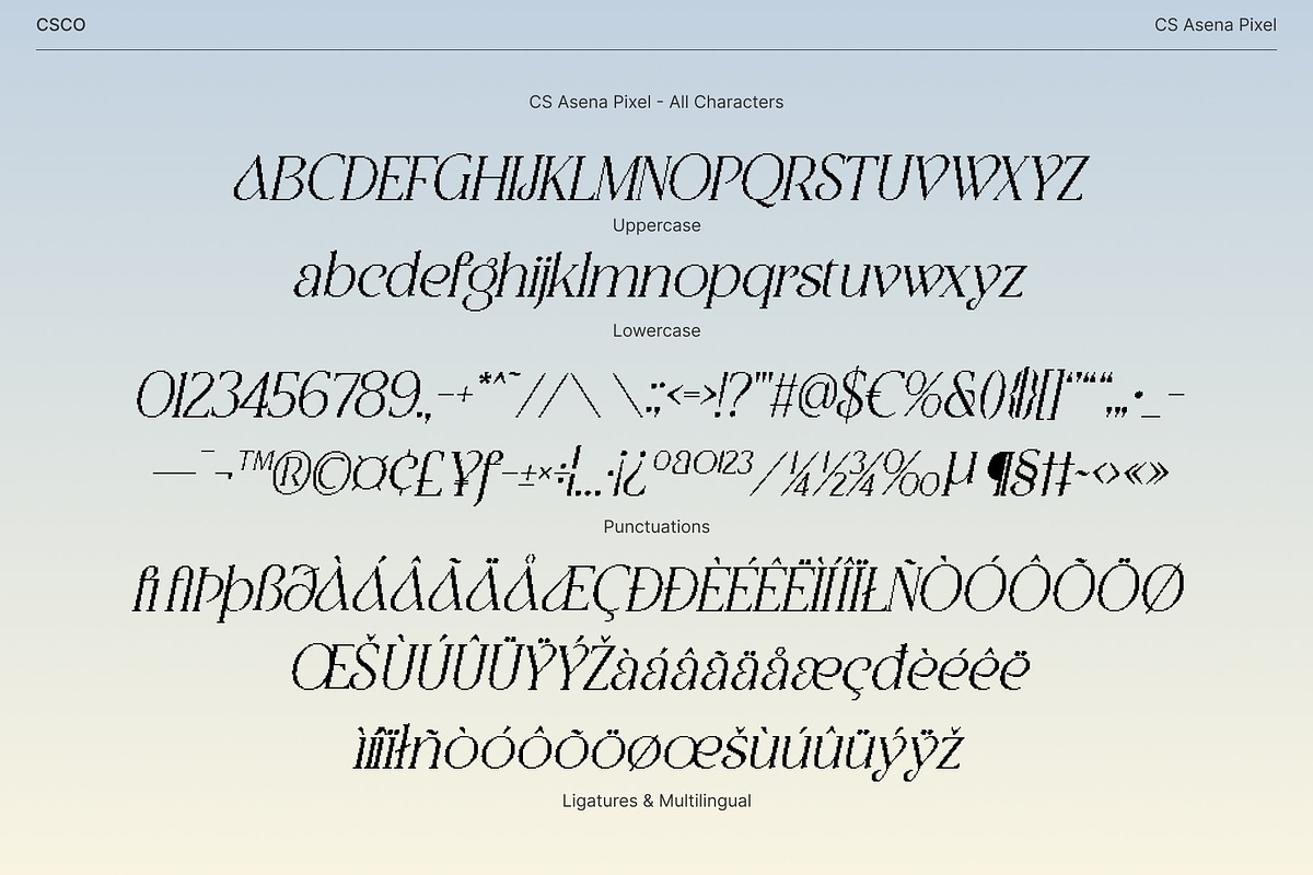 CS Asena Pixel, a Serif Font by Craft Supply Co. (Photo 8 of 8)