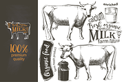 Cows and Milk. Hand drawn Vector set, an Animal Illustration by Alltruecolours (Thumbnail 2 of 6)