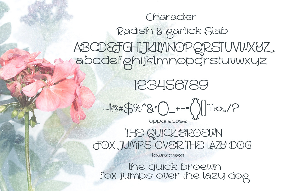 Radish and Garlick, a Slab Serif Font by Bramcreative (Photo 5 of 10)