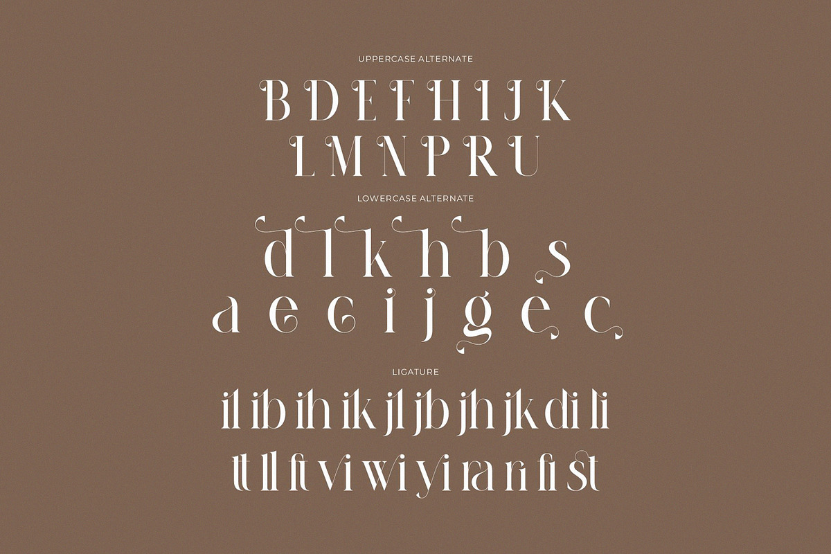 Fragile Modern Ligature Serif preview 8