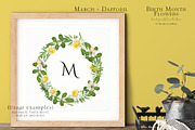 Daffodil Birth Month Flower Clipart, an Illustration by Ksenia Shmakova (Thumbnail 2 of 7)