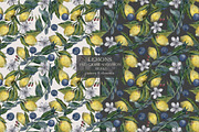 Lemons and grass Solomon seal, an Illustration by PASHKOVA (Thumbnail 21 of 22)