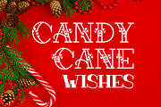 Forever Christmas, a Serif Font by Amber Nest Design (Thumbnail 7 of 14)