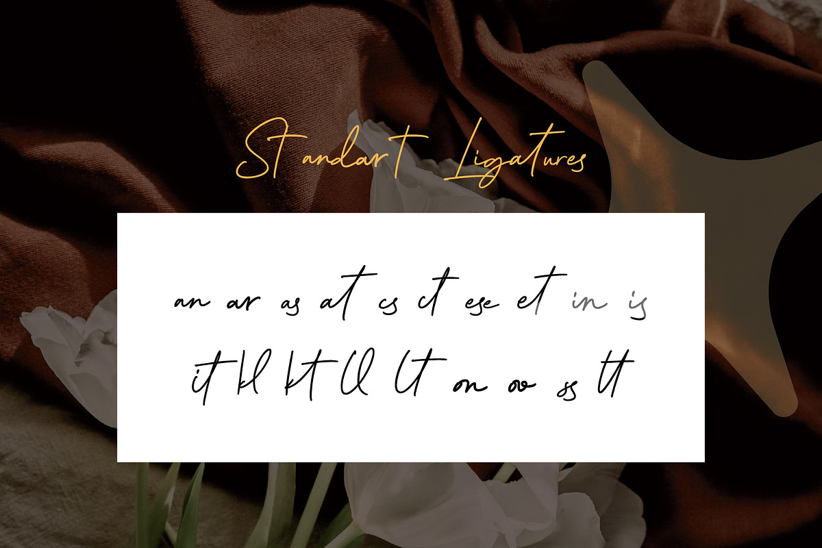 Belitha - Script Handwritten, a Script Font by Lettermine (Photo 8 of 10)