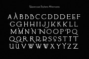 Kindred - Stylistic Alternates Font, a Serif Font by Tom Chalky (Thumbnail 4 of 8)