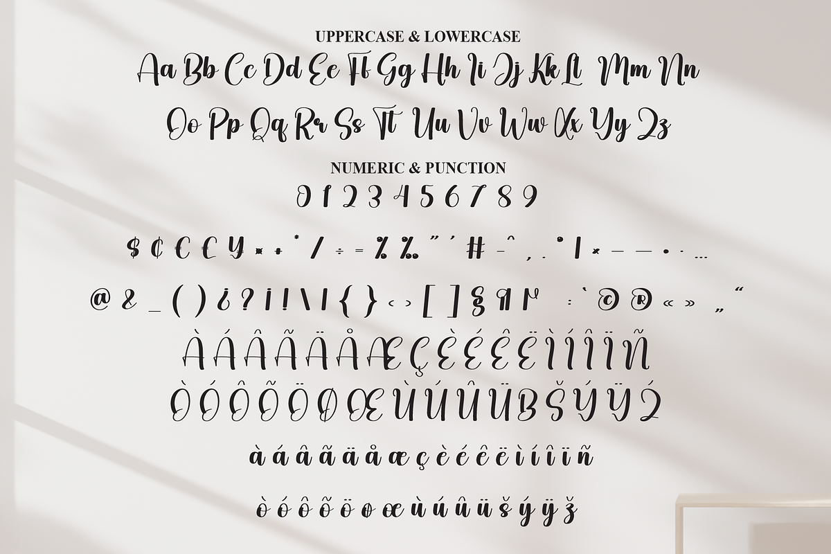 Kamilla | Script Font, a Handwritten Font by Scratchones (Photo 7 of 8)