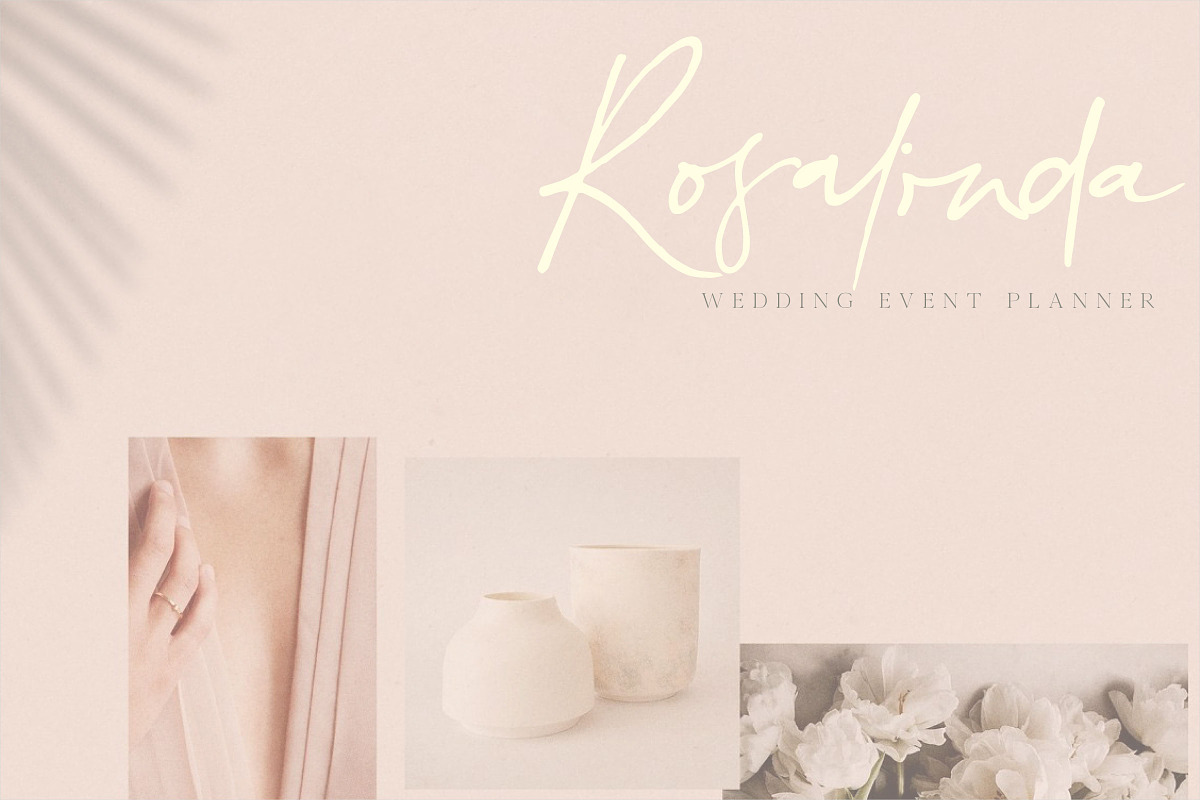 South Charm Font, a Script Font by Digital Hustler (Photo 2 of 12)