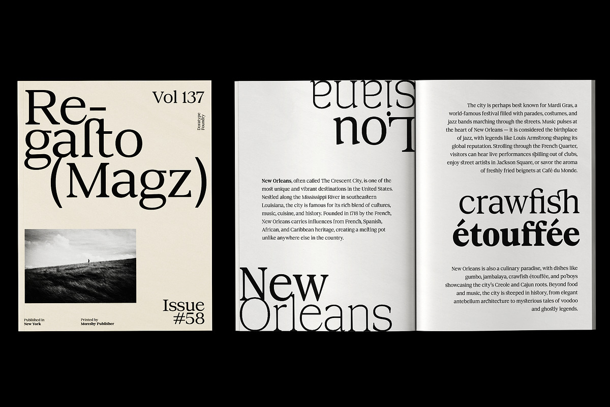 DTF Benhill - Serif Family, a Font by Dora Typefoundry (Photo 2 of 11)
