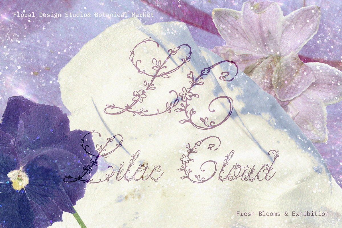 Petalia Decorative Floral Font, a Script Font by AnMark (Photo 9 of 11)