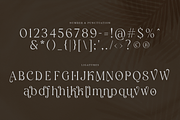 Botanics Display Variable, a Serif Font by Typetemp Studio (Thumbnail 9 of 11)