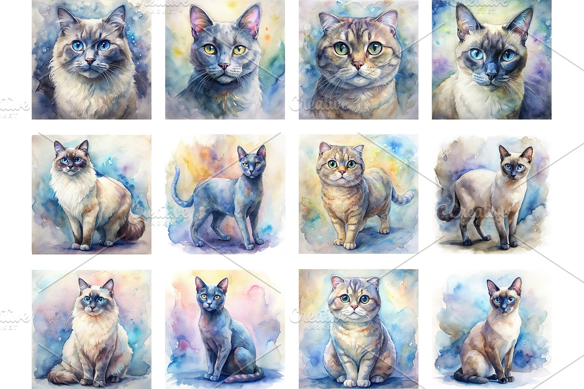 Watercolor Cat Breed Illustrations, an Animal Illustration by Palleon (Photo 3 of 7)