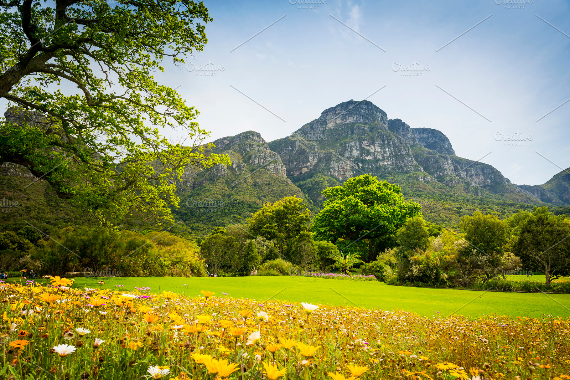 Table Mountain Cape Town, South Africa, a Nature Photo by THP Creative