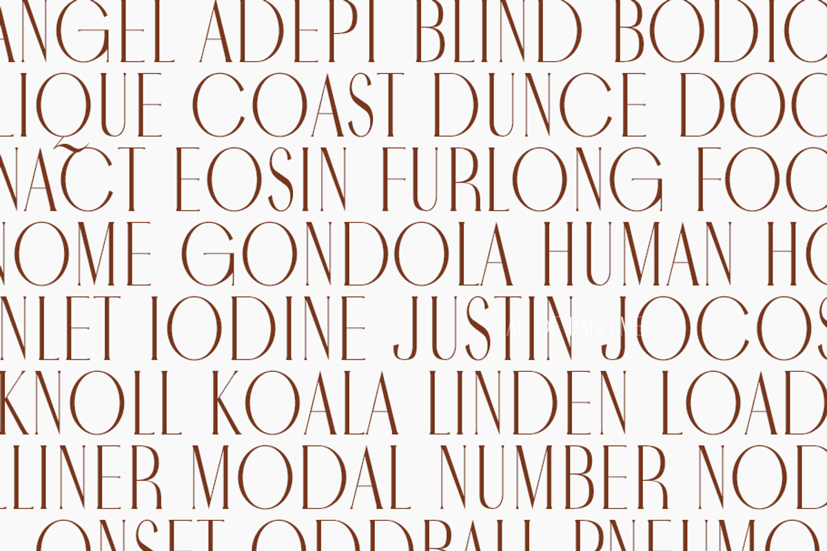 Noctaire - Modern Serif, a Serif Font by Sronstudio (Photo 7 of 18)