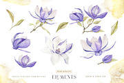 Watercolor magnolia clipart, an Illustration by MariGraphic boutique (Thumbnail 2 of 10)