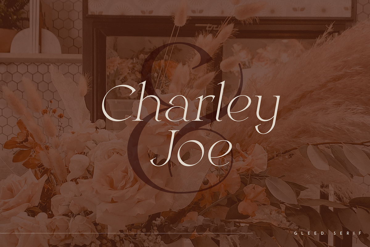 Gleed - minimal serif typeface, a Serif Font by Only Fonts (Photo 4 of 10)