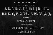Sunday calligraphy, a Handwritten Font by FreshTypeINK (Thumbnail 6 of 7)