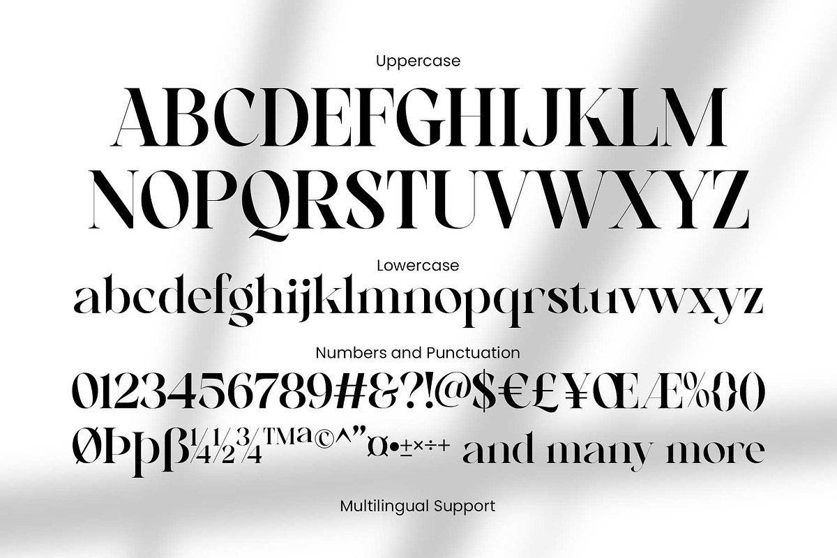 Mongela - Elegant Serif, a Serif Font by Novitype (Photo 9 of 14)