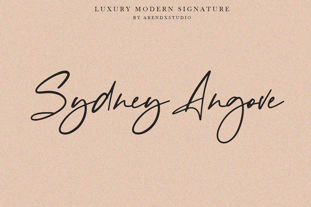 Baekrajan Luxury Modern Signature preview 6