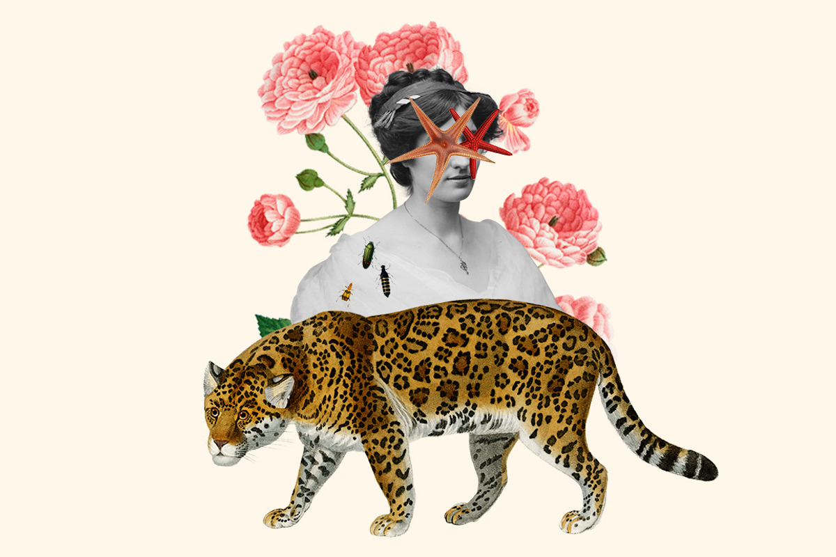 Vintage Collage Creator 1000+ Images, an Object Graphic by Collage Supply Co (Photo 5 of 21)