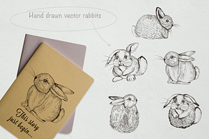 Pretty Bunnies Vector Illustrations