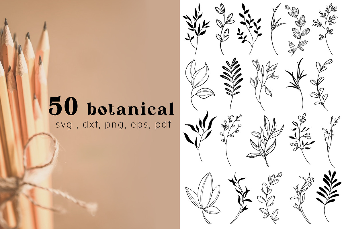 Leaves SVG, PNG, DXF, pdf, eps files, a Decorative Illustration by DamriNa art (Photo 1 of 5)