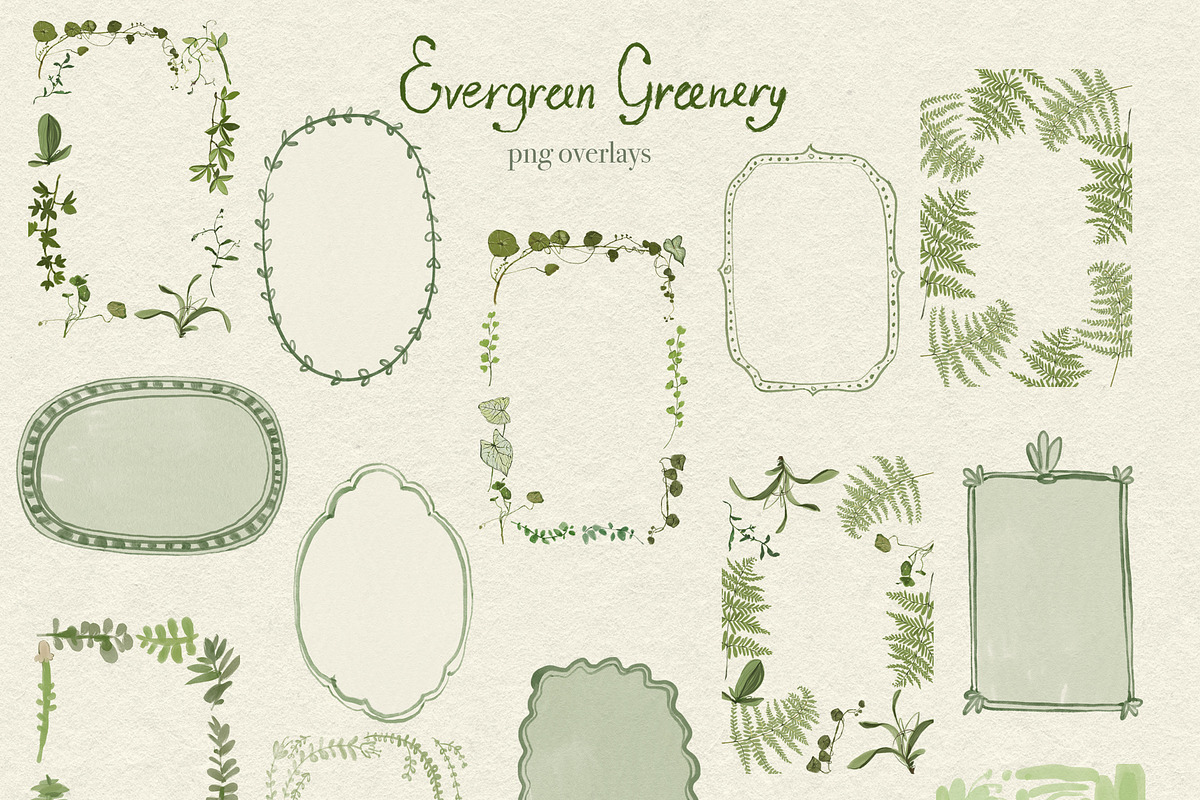 Greenery & Ferns PNG Illustrations, a Decorative Illustration by whiteheartdesign (Photo 14 of 19)