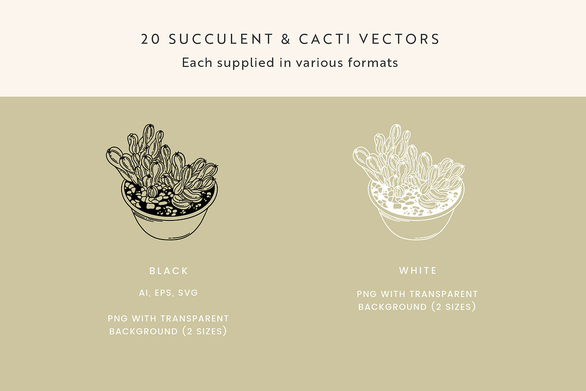 Succulents Vector Illustrations, a Decorative Illustration by Emma Webb Studio (Photo 3 of 6)