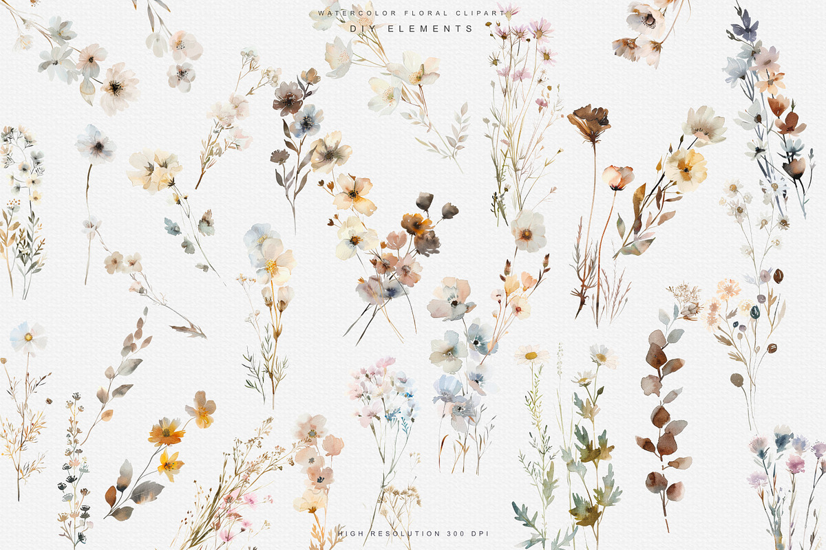 watercolor beige wildflower clipart, a Decorative Illustration by Patishop Art (Photo 9 of 10)