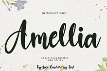Amellia | Script font