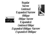The Reading Wogue | 15 Font Files, a Sans Serif Font by Positive TypeFoundry (Thumbnail 6 of 18)