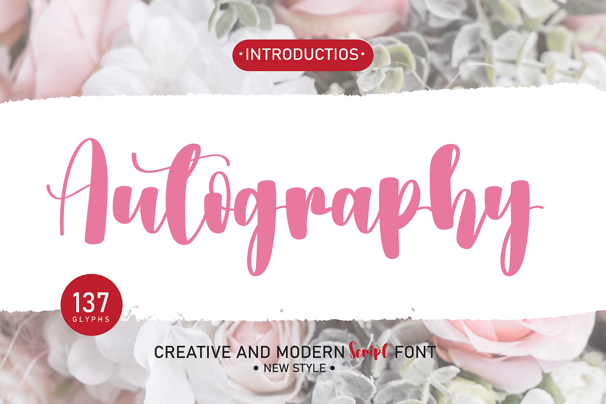 Beautifull Mega Bundles Font, a Script Font by Scratchones (Photo 7 of 25)