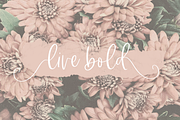 Midnight | Handwritten Script Font, a Script Font by KA Designs (Thumbnail 8 of 19)