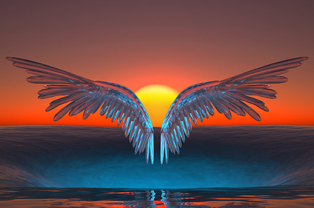 glass wings soar over in the sea