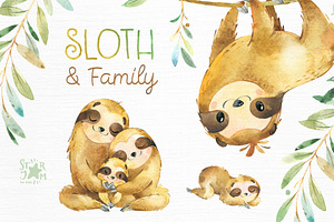 Sloth & Family Collection