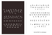 Fankown Unique Ligature Serif, a Serif Font by Humaira_std (Thumbnail 9 of 9)