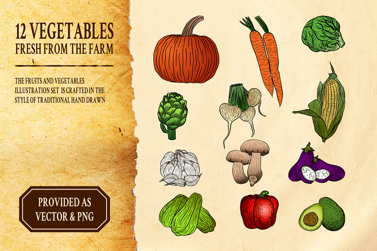 Hand-drawn Fruit and Vegetable Set, an Object Illustration by Riswan Ratta (Photo 2 of 8)