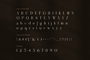 Thomas Elegant Serif Font, a Serif Font by Graphicxell (Thumbnail 7 of 8)