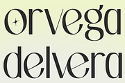 Elnara Luxury Editorial Serif Font, a Serif Font by Rasio Studio (Thumbnail 6 of 9)