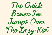 CS Danica – Handwritten Script, a Script Font by Craft Supply Co. (Thumbnail 6 of 8)
