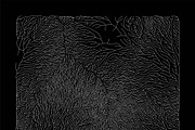 Growth - 10 Backgrounds, a Texture Graphic by GarryKillian (Thumbnail 2 of 11)