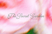 Floral Blurred Backgrounds, a Background Graphic by PaperJamLab (Thumbnail 1 of 13)