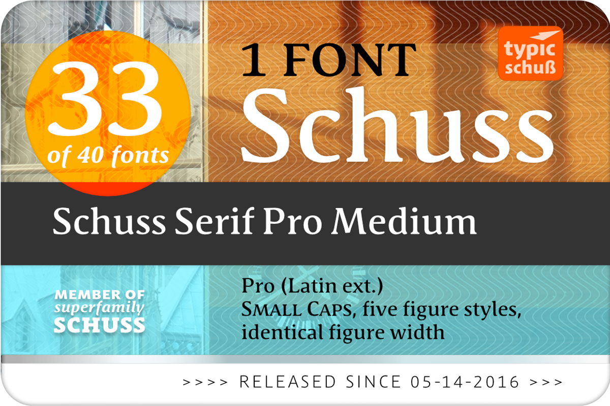 SchussSerifProMedium No.33 (1 Font) preview 2