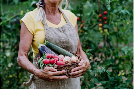 Close-up of senior farmer holding, a Person Photo by HalfPoint
