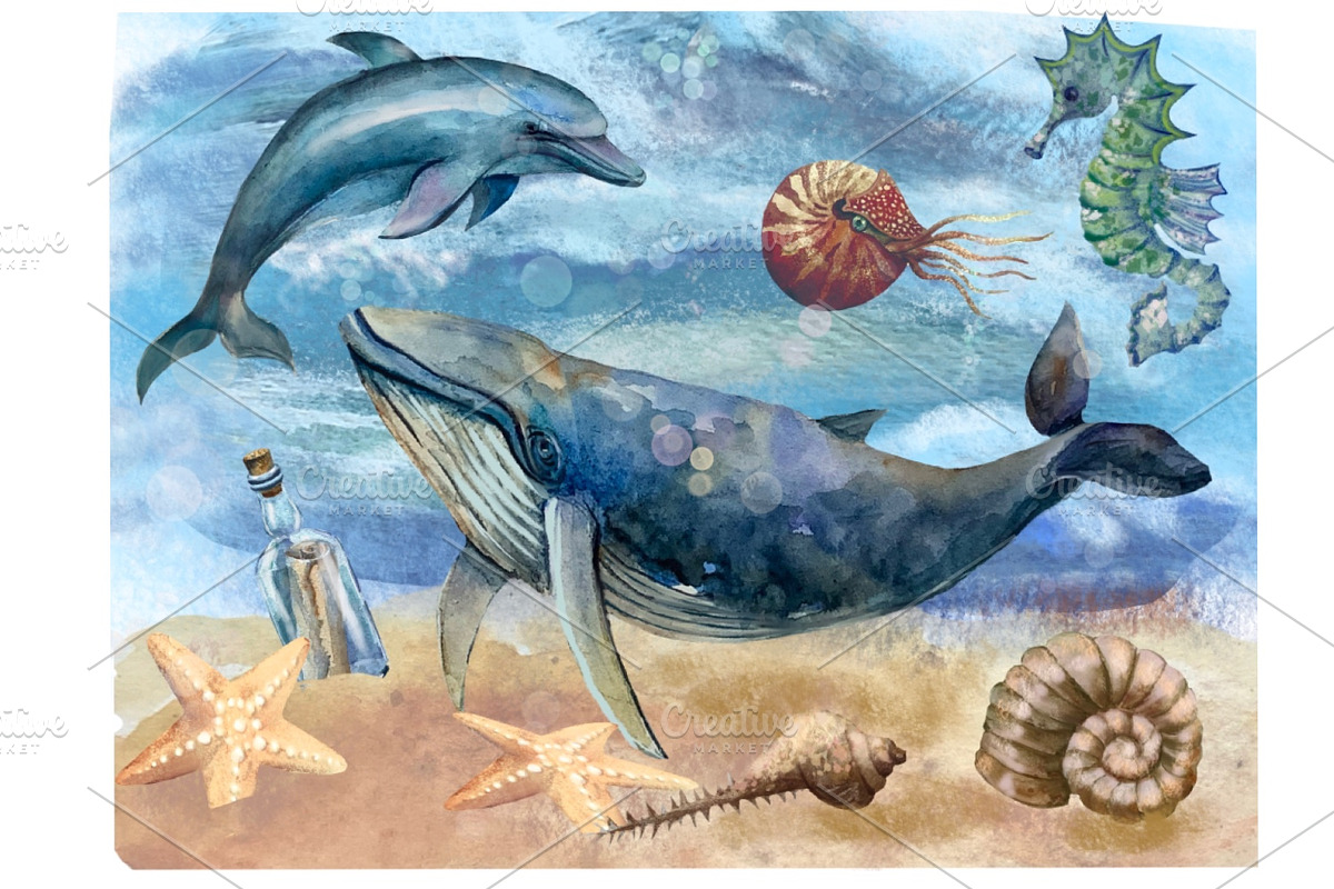 Watercolor nautical illustration, an Object Illustration by AkvarelRiver (Photo 17 of 18)