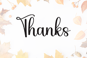 Thanksgiving | Script Font, a Handwritten Font by Scratchones (Thumbnail 9 of 9)