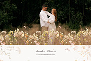 Autumn Meadow Watercolor Florals, a Seasonal Illustration by Yuliia Lashevska (Thumbnail 9 of 14)