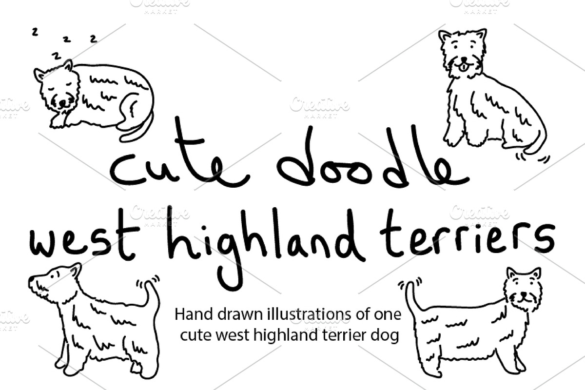 Cute doodle West Highland Terriers, an Animal Illustration by Liz Pengilley Studio (Photo 1 of 4)